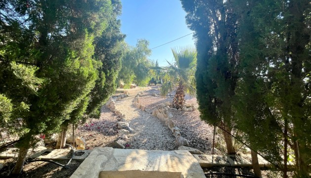 Resale - Country House - Crevillente