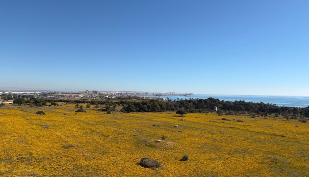Wiederverkauf - Apartment - Torrevieja - Punta Prima