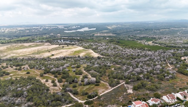 Wiederverkauf - Detached Villa - San Miguel de Salinas