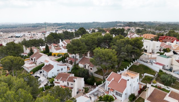 Wiederverkauf - Detached Villa - San Miguel de Salinas