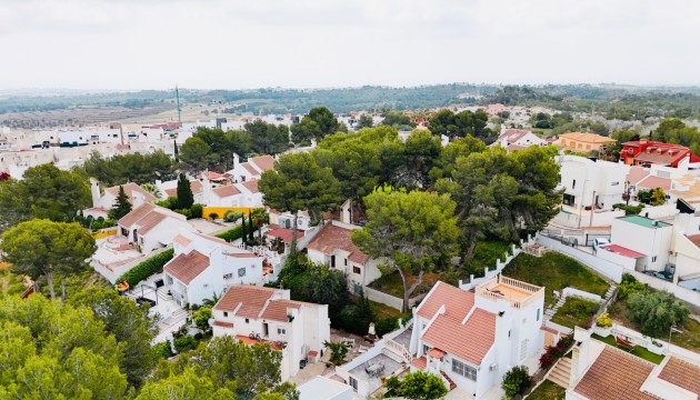 Wiederverkauf - Detached Villa - San Miguel de Salinas