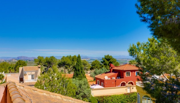 Resale - Detached Villa - San Miguel de Salinas