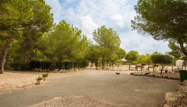 Begagnad - Landsbyggdshus - Torremendo