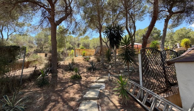 Odsprzedaż - Country House - Orihuela - Torremendo