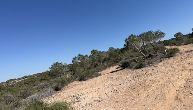 Reventa - Land and Plots - La Marina