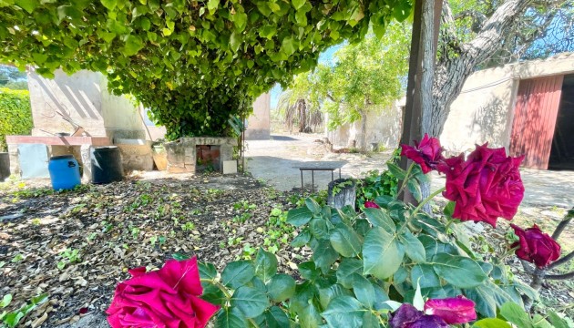 Wiederverkauf - Detached Villa - La Romana - Villas de la Romana