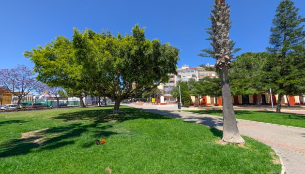 Begagnad - Lägenhet - Torrevieja - El Acequión - Los Náufragos