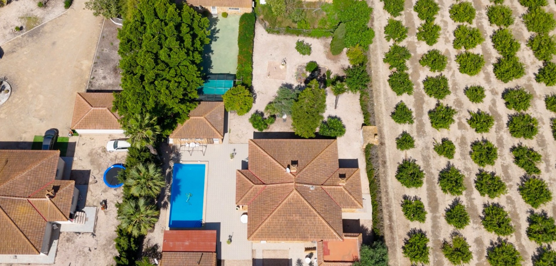 House in Rojales - Image 5