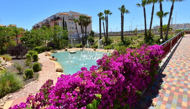 Resale - Apartment - Orihuela Costa - Playa Flamenca