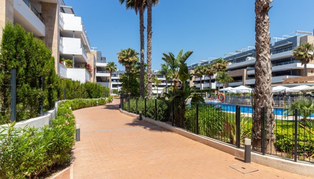 Reventa - Apartamento - Orihuela Costa - Playa Flamenca
