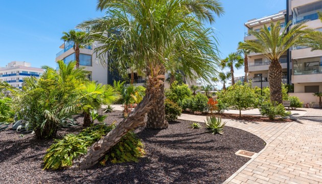 Odsprzedaż - Apartment - Orihuela Costa - Los Dolses
