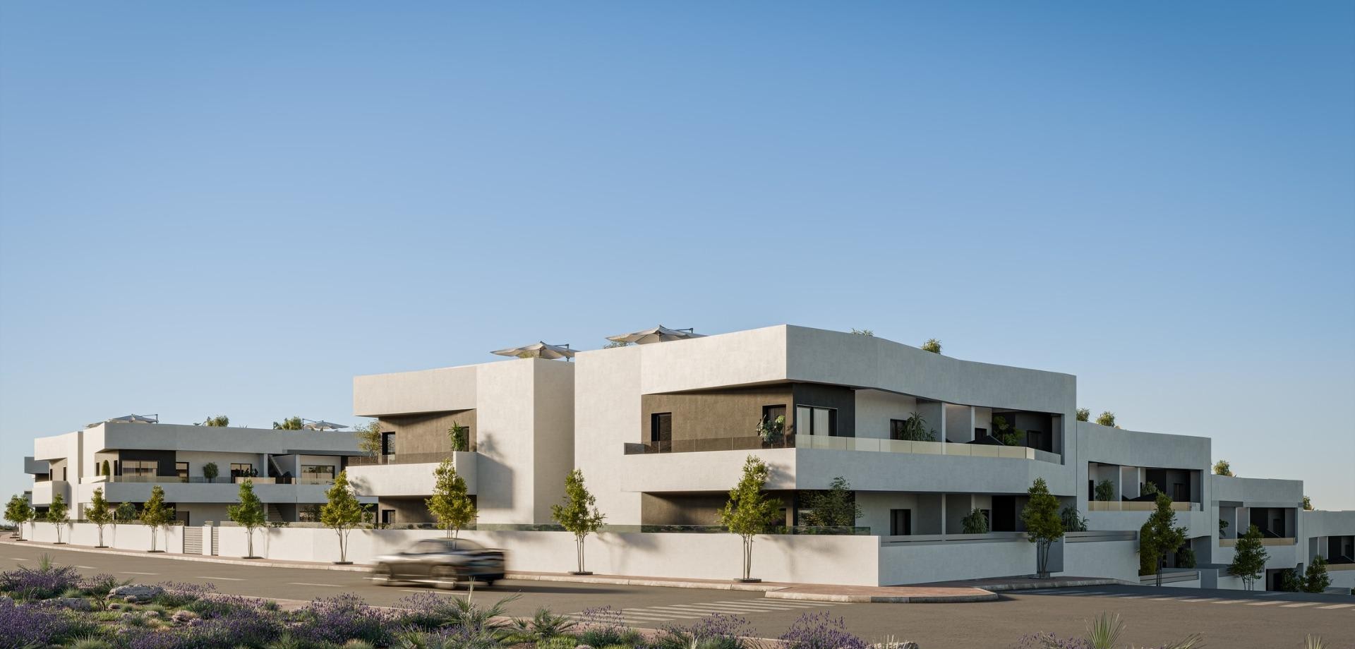House in San Miguel de Salinas - Image 2