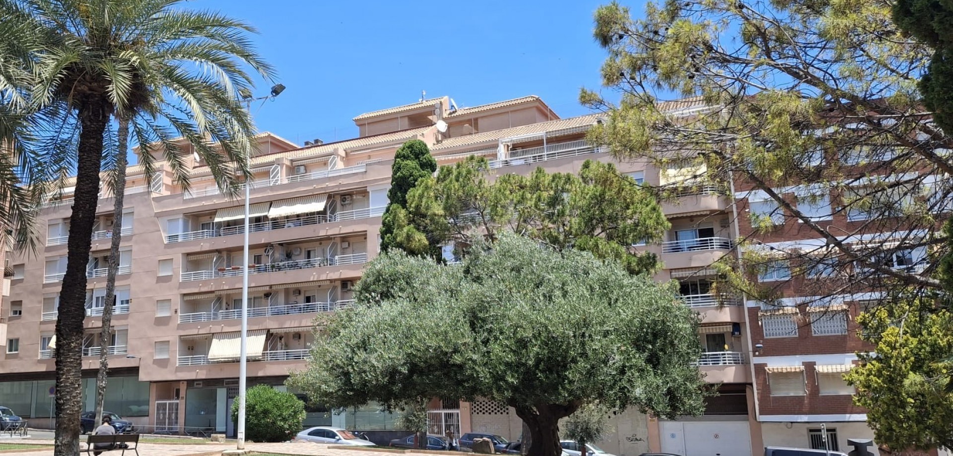 Apartment in Torrevieja - Image 3