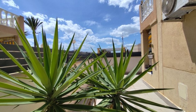 Herverkoop - Apartment - Torrevieja