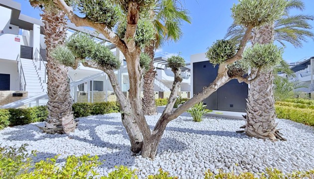 Resale - Apartment - Orihuela Costa - Punta Prima