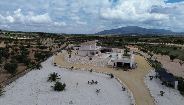 Videresalg - Detached Villa - Pinoso