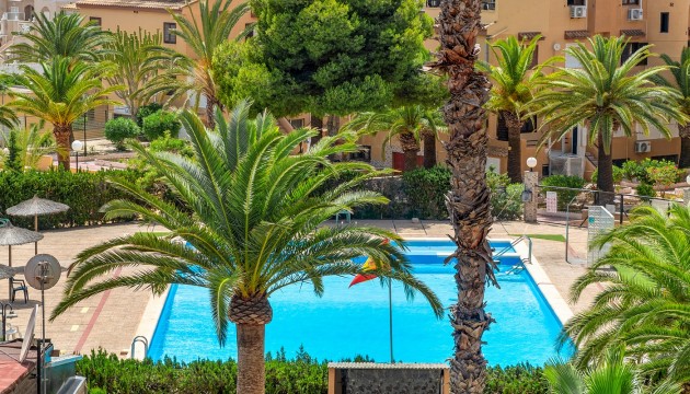 Resale - Apartment - Torrevieja - Torrevieja - Aguas Nuevas