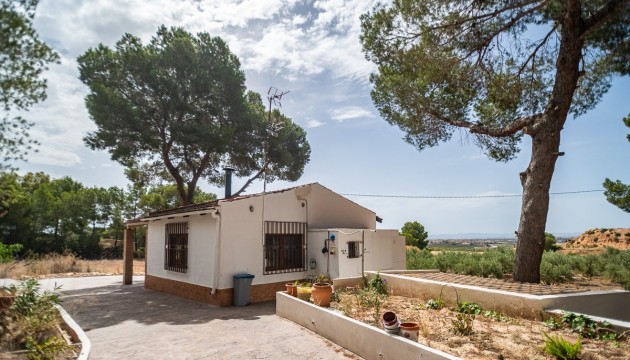Herverkoop - House - LA TERCIA - La Tercia
