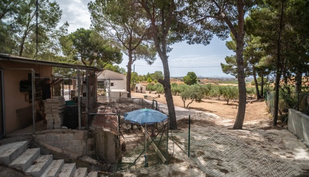 Herverkoop - House - LA TERCIA - La Tercia