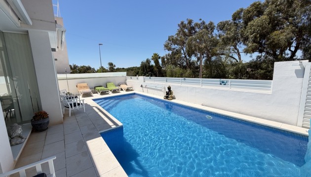 Reventa - Chalet Independiente - Mil Palmeras