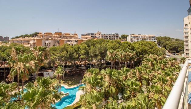 Odsprzedaż - Apartment - Orihuela Costa - Dehesa de campoamor
