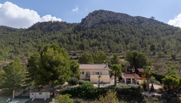 Odsprzedaż - Villa Detached - La Zarza - Inland
