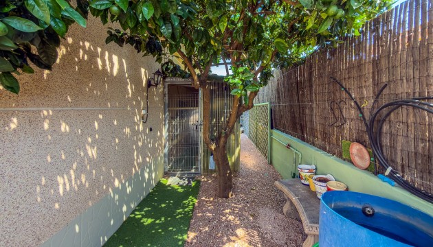 Resale - House - Catral