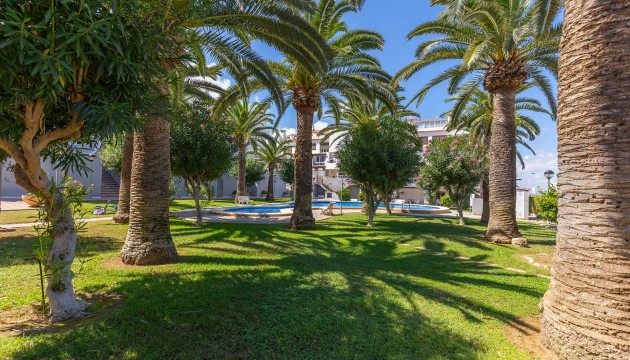 Resale - Apartment - La Mata - Torrelamata - La Mata