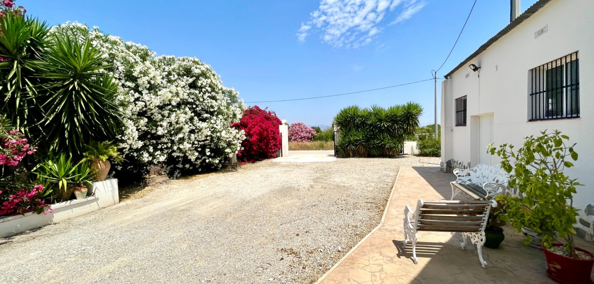 House in Daya Nueva - Image 3