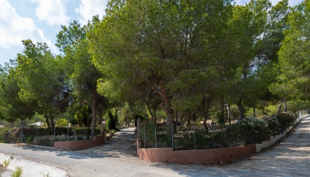 Begagnad - Landsbyggdshus - Torremendo
