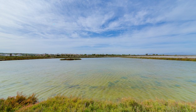 Wiederverkauf - Detached Villa - Formentera del Segura