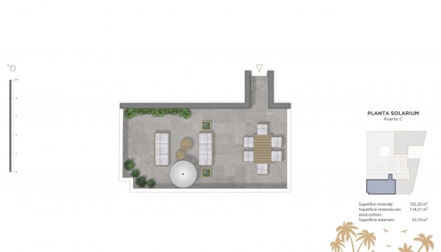 Nowy budynek - Apartment - Guardamar del Segura