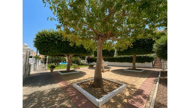 Wiederverkauf - Bungalow - La Mata - Torrelamata - La Mata