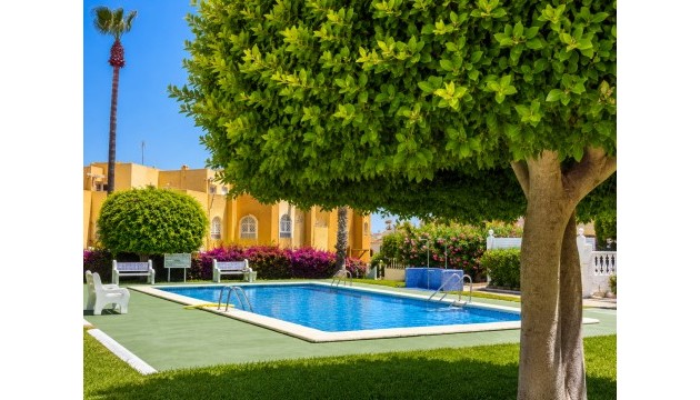 Wiederverkauf - Bungalow - La Mata - Torrelamata - La Mata