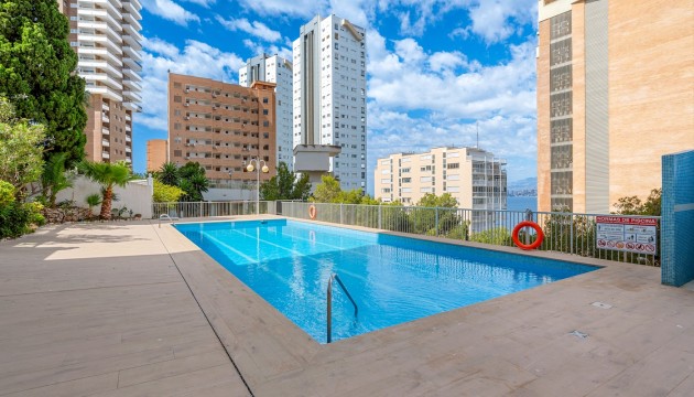 Begagnad - Lägenhet - Benidorm - Levante
