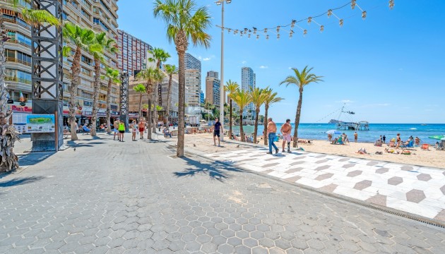 Begagnad - Lägenhet - Benidorm - Levante