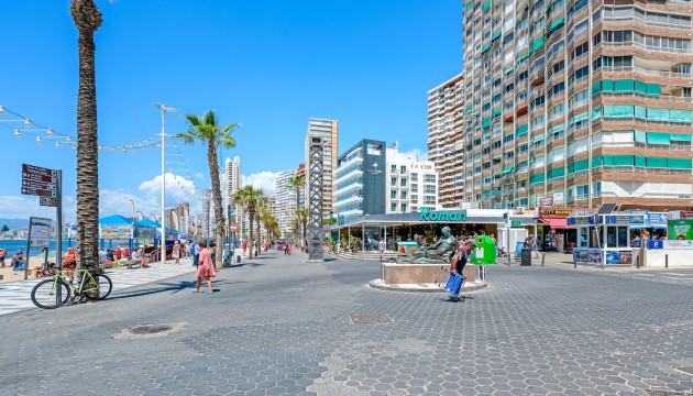 Begagnad - Lägenhet - Benidorm - Levante