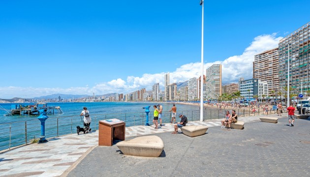 Begagnad - Lägenhet - Benidorm - Levante