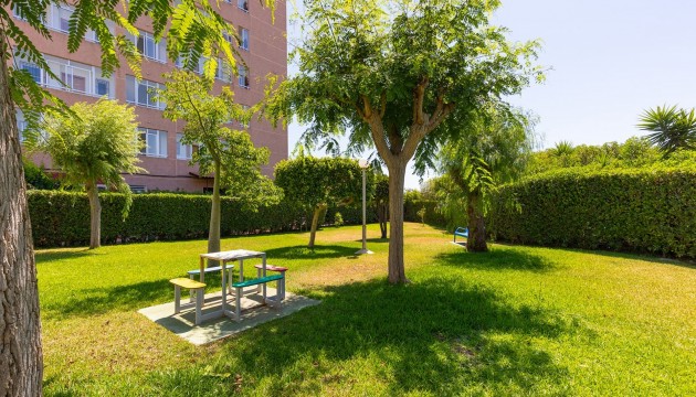 Wiederverkauf - Apartment - La Mata - Torrelamata - La Mata