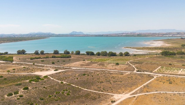 Wiederverkauf - Apartment - La Mata - Torrelamata - La Mata