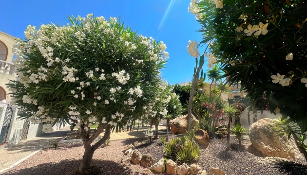Wiederverkauf - Bungalow - La Mata - Torrelamata - La Mata