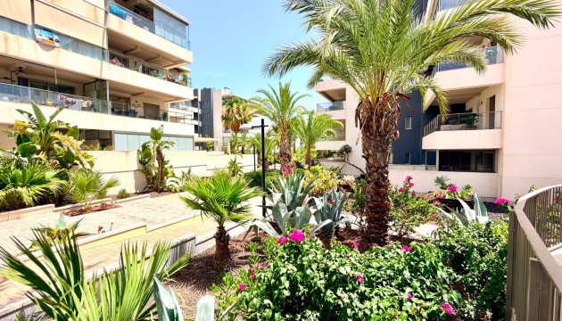 Wiederverkauf - Apartment - Orihuela Costa - La Zenia