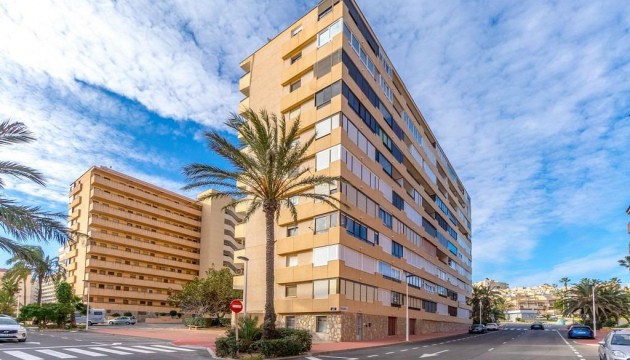 Odsprzedaż - Apartment - Torrevieja - Torrelamata - La Mata