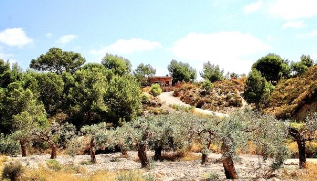 Resale - Detached Villa - Murcia