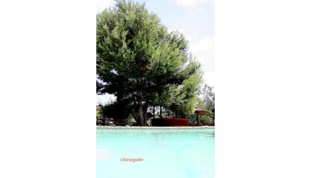 Resale - Detached Villa - Murcia