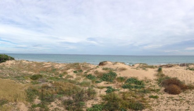 Videresalg - Leilighet - Torrevieja - Torrelamata - La Mata