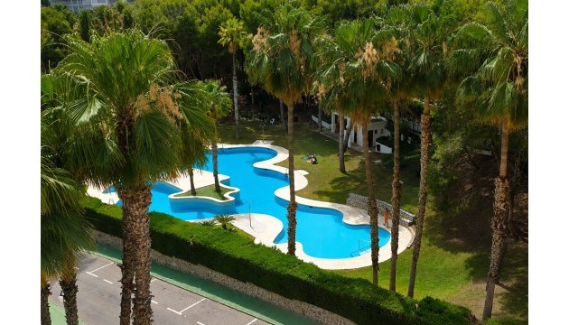 Reventa - Apartamento - Orihuela Costa - Campoamor