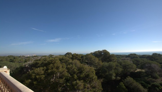 New Build - Apartment - Guardamar del Segura