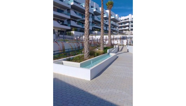 Begagnad - Lägenhet - Orihuela