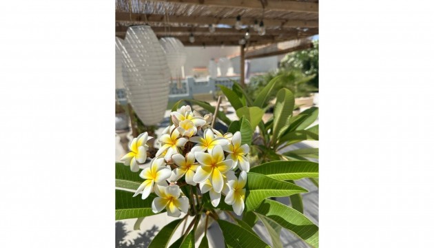 Перепродажа - отдельная вилла - Torrevieja